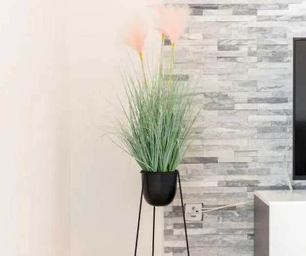 In Arbanija Mit Meerblick, Balkon, Klimaanlage, W-lan 5137-2 Appartement